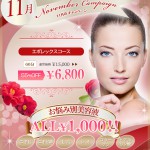 ☆11月のキャンペーン☆/恵比寿・広尾のフェイシャル＆ボディメイクエステサロン　Ｃｉｅｌｐｌｅｎｄｉｒ～シエルプランディー～