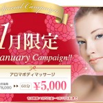 １月のキャンペーン☆/エポレックス専門フェイシャルエステサロンは恵比寿・広尾のＣｉｅｌｐｌｅｎｄｉｒ～シエルプランディー